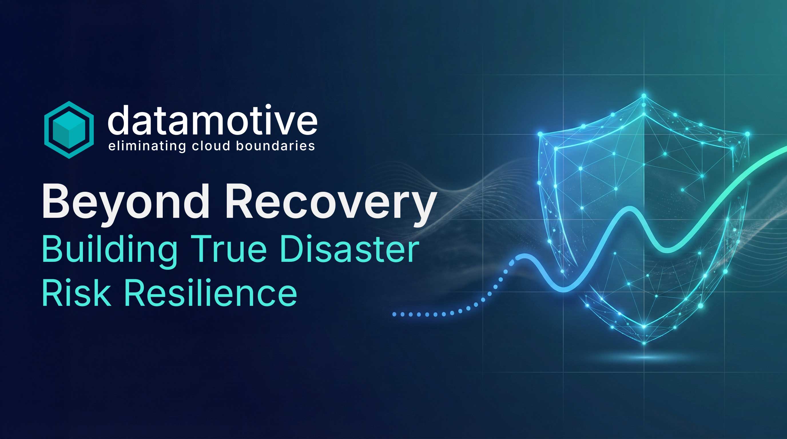 Beyond Recovery: Building True Disaster Risk Resilience