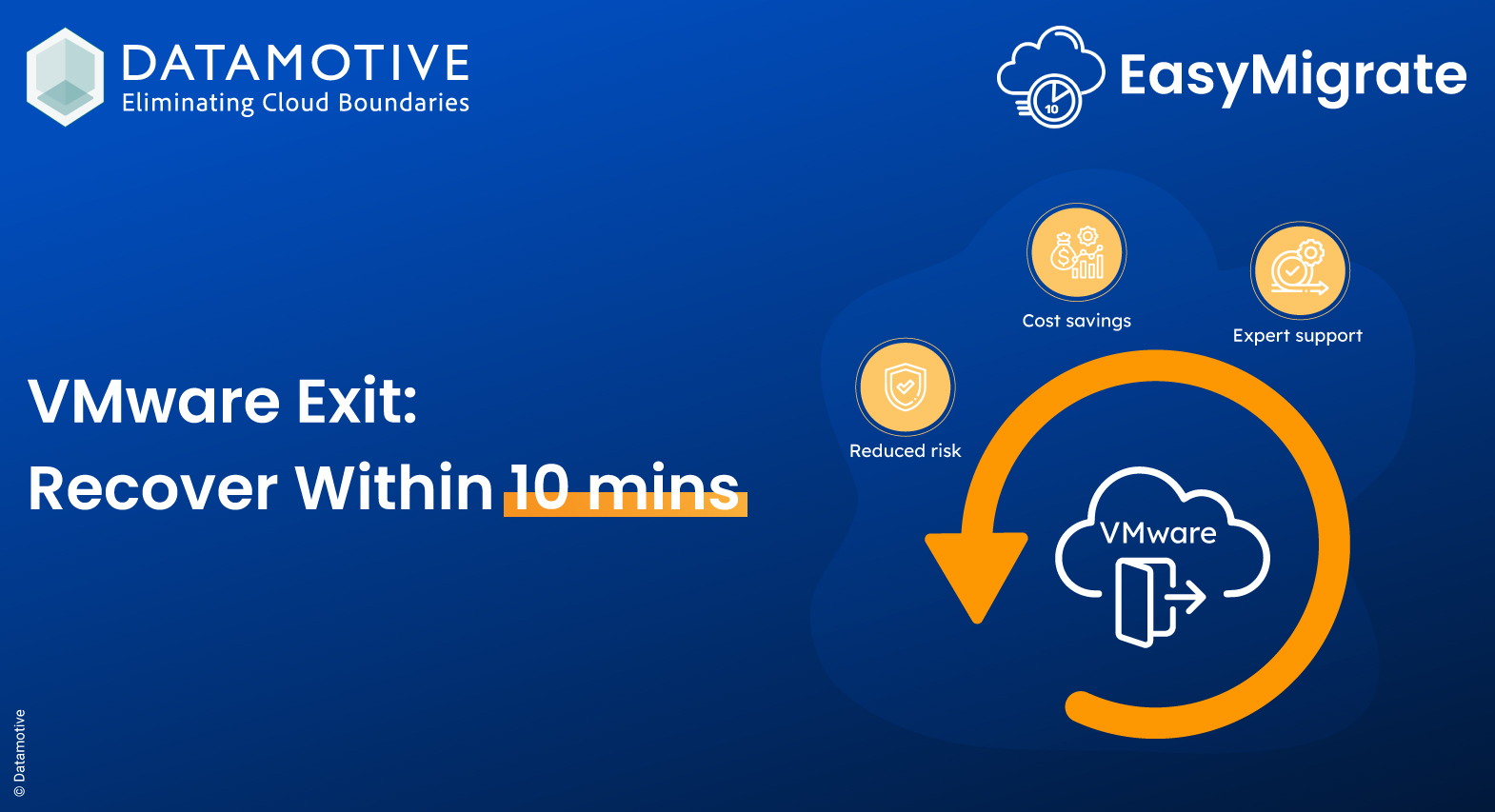 VMware Exit: Recover Within 10 mins